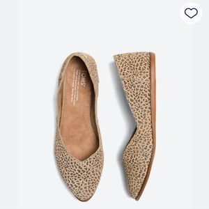Tom Leopard Shoes Stitch Fix